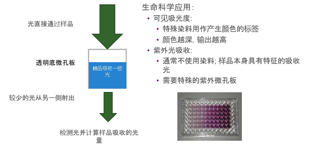 微信图片_20220317114641.png